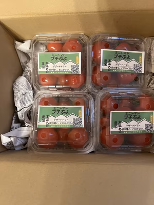 みんなの投稿の画像