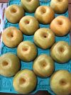 夏の味覚＾＾　綺麗な幸水梨 8月上旬～ 5キロ箱