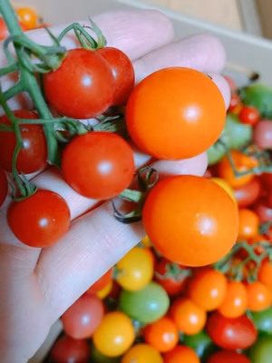 みんなの投稿の画像