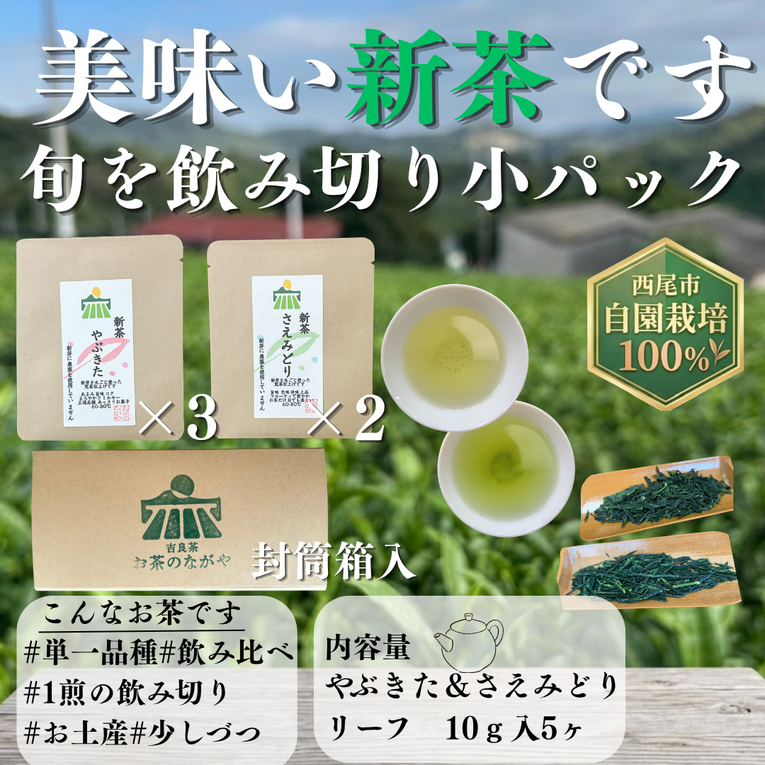 送料無料】令和8新茶 お試し手土産に1煎ミニパック5ヶ 新茶2品種飲み
