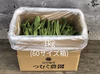 ほろ苦い春限定の味 [信州産] 野沢菜の菜花を箱いっぱい！