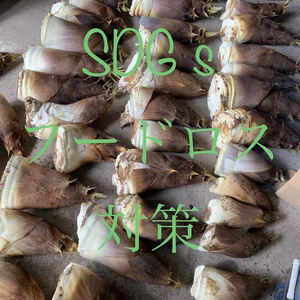 クール便❗️SDGs フードロス対策❗️ 朝掘りたけのこ　訳あり