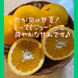 甘さあふれるジューシーな甘夏♪ 