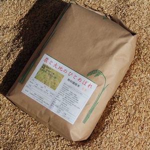 ひとめぼれ 農薬・化学肥料不使用栽培【玄米】2kg～