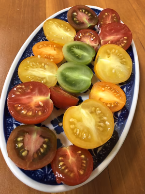 みんなの投稿の画像