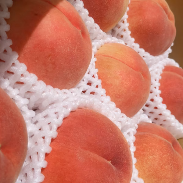 【常温便】福島県産　夏の陽（なつのよう）2.8kg