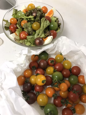 みんなの投稿の画像