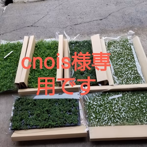 Cnois様専用です。