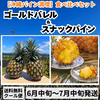 食べ比べ8玉入り！ゴールドバレル3玉＆スナックパイン5玉入 6月中旬～7月発送