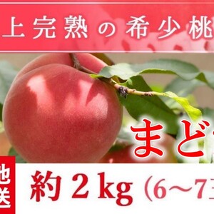 福島県産の桃　朝採りもぎたて完熟まどか 阿部農縁 もも モモ ギフト・贈答用