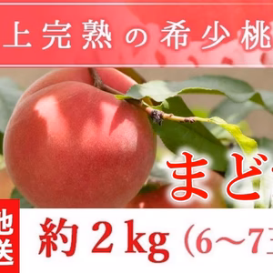 福島県産の桃　朝採りもぎたて完熟まどか 阿部農縁 もも モモ ギフト・贈答用