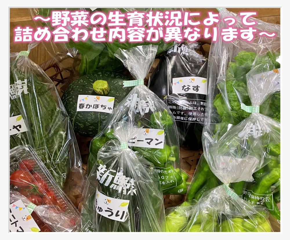 【2～3人様】たくさん！掘りたて！お料理好き野菜詰め合わせ☆和歌山南国よりお届け