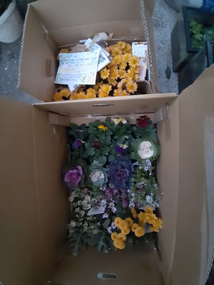 みんなの投稿の画像