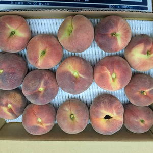 桃　規格外商品