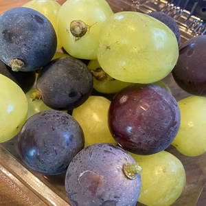 黒と緑食べ比べ♡つぶつぶ1キロ♡雄宝♡シャイン♡ブラックビート♡グロースクローネ