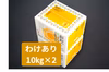 訳あり【10㎏×2箱】おおぐしさんちの土佐文旦