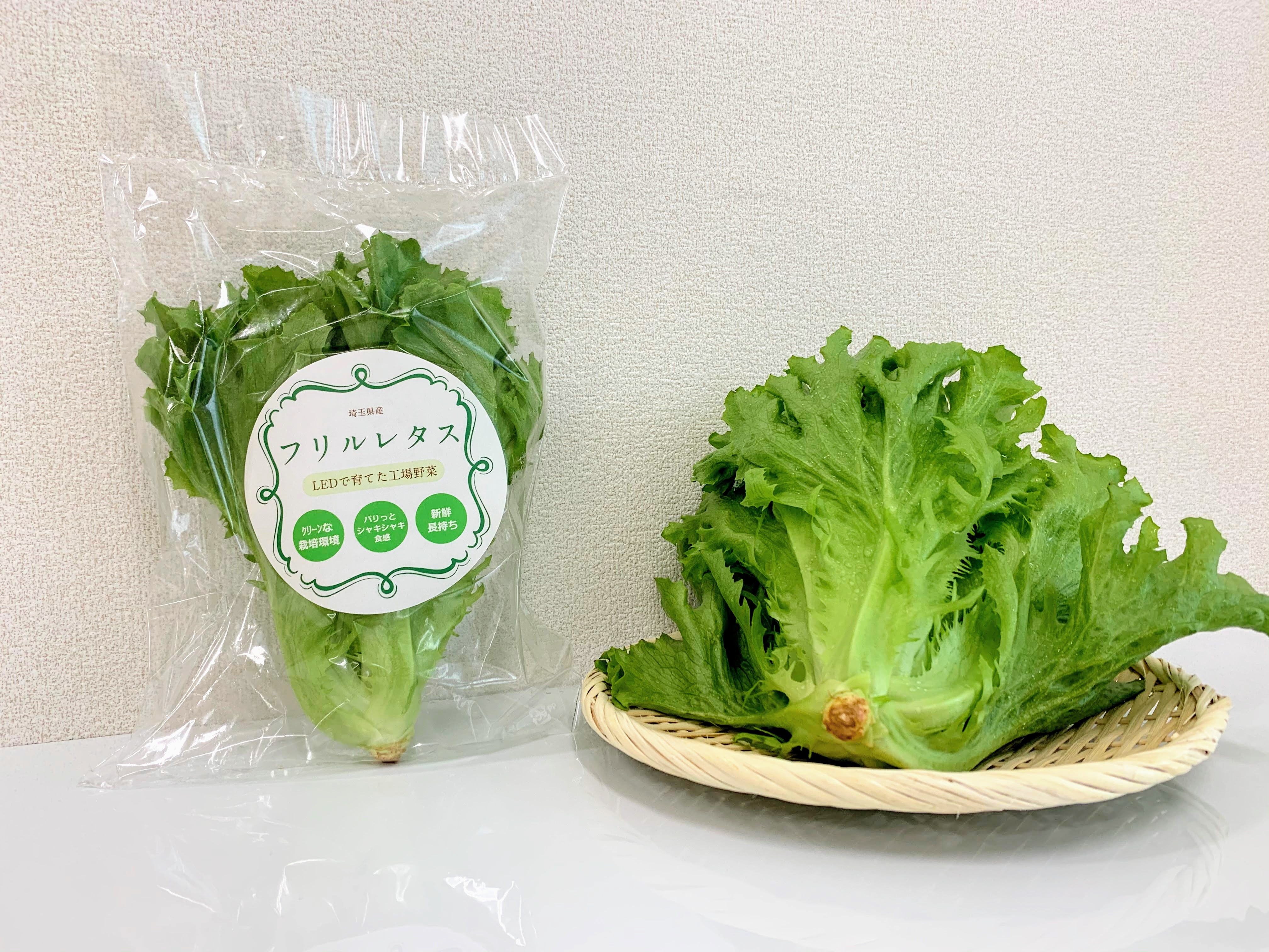 毎週お届け」植物工場産 農薬:栽培期間中不使用 フリルレタス「定期便