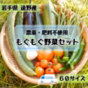 \\自然農 野菜の味が濃い//無農薬・無肥料 お試し新鮮野菜セット(60クール)