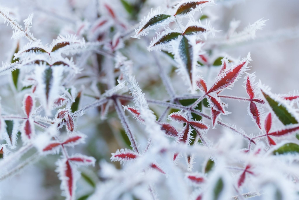 15895897_1220711174632941_8129904771419997122_o