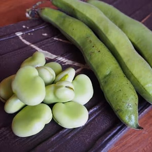 ビールのおともに♪むき房州そらまめ【収穫でき次第順次発送させて下さい】