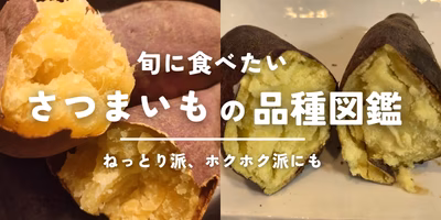 さつまいもの品種図鑑 ホクホク派・ねっとり派に【焼き芋・干しいも】