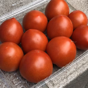 甘くてジューシー 中玉トマト フルティカ