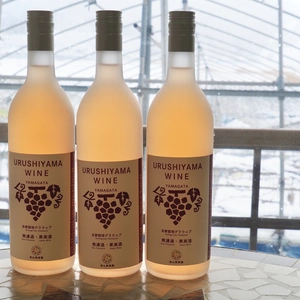 2020年漆山ワイン3本セット☆人気のデラウェアを無濾過で。