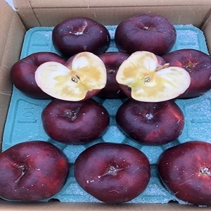 蜜が入りやすい、深紅の大玉りんご　こうみつ　家庭用　５キロ　限定販売