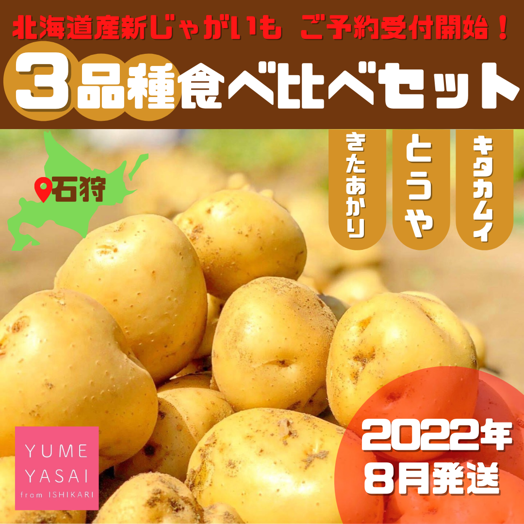 ホクホク しっとり 甘 い 北海道産3品種食べ比べセット 新じゃが 農家漁師から産地直送の通販 ポケットマルシェ