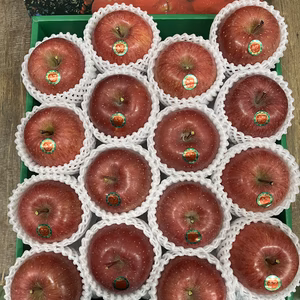 サンふじ大玉【贈答用】