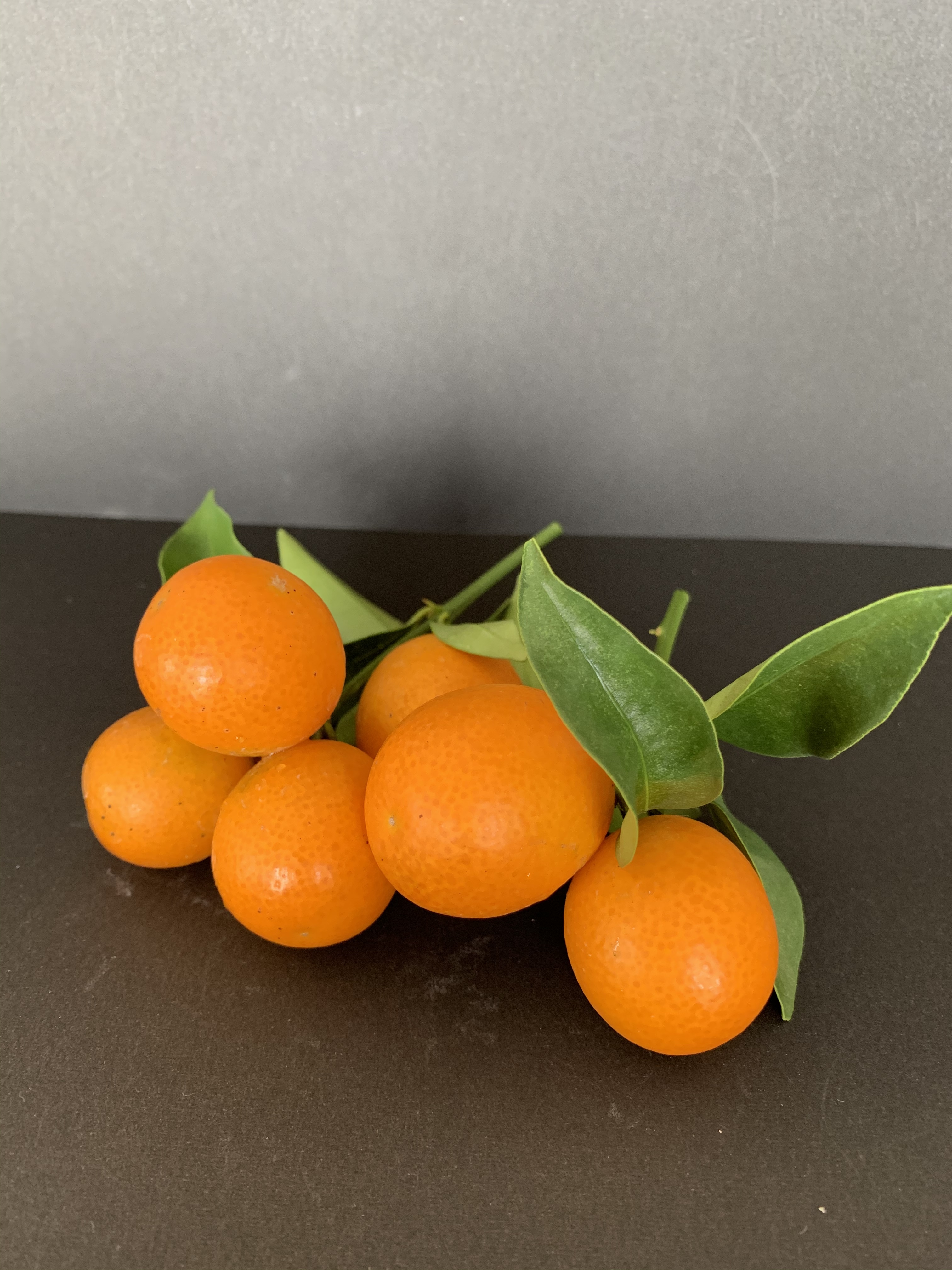 金柑 無農薬 80個 800g前後 Teiban Shouhin フルーツ Firstclassaruba Com