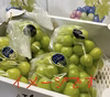7月中旬より順次発送　岡山県産シャインマスカット　ご家庭用　不揃い2kg