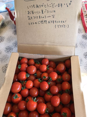 みんなの投稿の画像