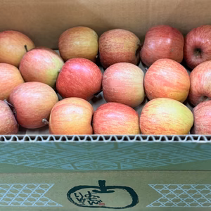 毎日りんご!!サンふじ【極小玉バラ詰め】家庭用約3Kg　抜群コスパ