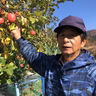 横尾芳也