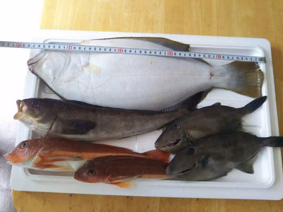 みんなの投稿の画像