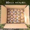 【約4.5㎏（箱込)】おうちで追熟！食べ頃を一緒に待つキウイ　家庭用