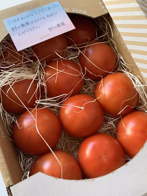 みんなの投稿の画像