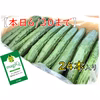 【本日6/30まで】宮崎県産きゅうりA品24本
