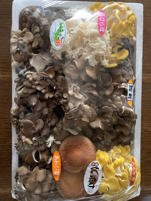 みんなの投稿の画像