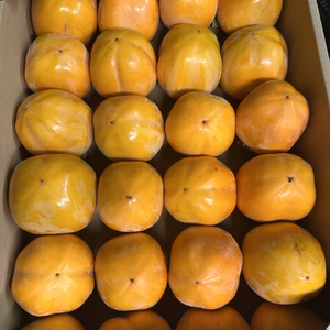 干し柿作りにチャレンジセット　蜂屋柿30個セット