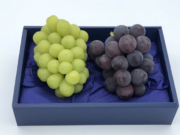 シャインマスカットとニューピオーネ一房づつ（化粧箱入り・１房４５０ｇ～５５０ｇ）