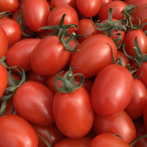 【有機ミニトマト】樹上完熟ミニトマト「アイコ」1kg｜S〜Lサイズ混合