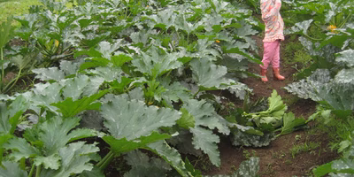 竹林畑のこだわりって？