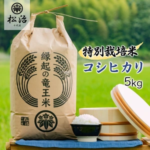 【ポケマルの夏のギフト】特別栽培米 令和4年産コシヒカリ 5kg 縁起の竜王米