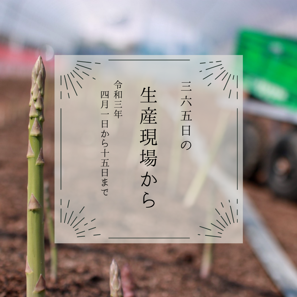 これが春 わらび たけのこ アスパラにょきにょき 4月前半の生産現場から 農家漁師から産地直送の通販 ポケットマルシェ