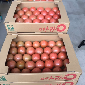 10周年記念価格！期間限定！完熟、朝採れトマト。大きさバラバラ1箱（約3.5〜4