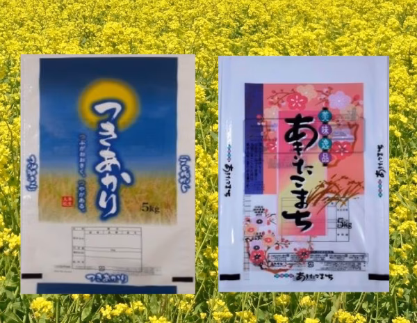 山形高畠発＜上白精米＞2品種セット「E」（つきあかり5㎏/あきたこまち5㎏）