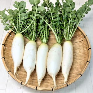 大根2種とブロッコリー・丸莢インゲン豆のセット