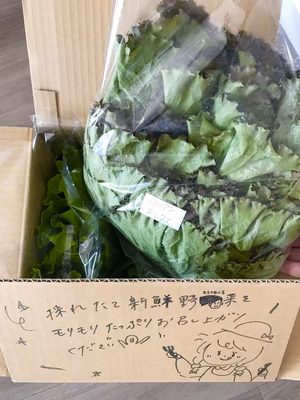 みんなの投稿の画像